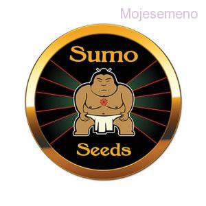 Sumo Seeds Nitro Haze 3ks feminizovaná