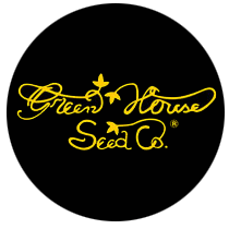 Green House Seeds Cloud Walker 3ks
