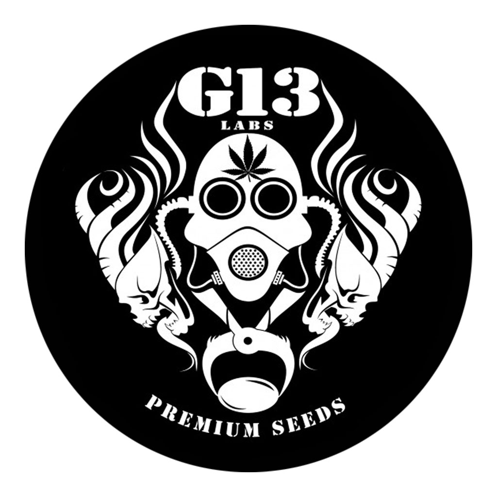 G13 Labs Gigabud 5ks