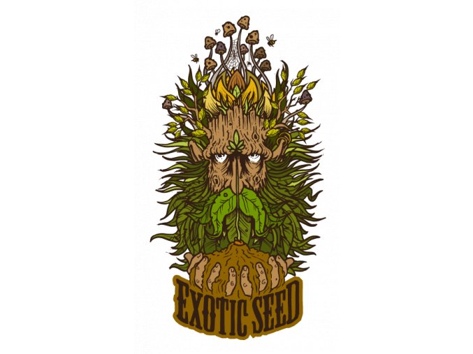 Exotic Seeds Sir Jack Auto Pure CBD