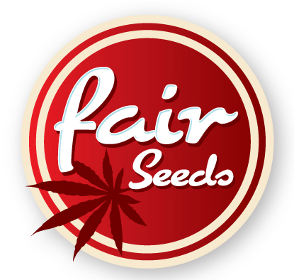 Fair Seeds Ice Cream Cake feminized