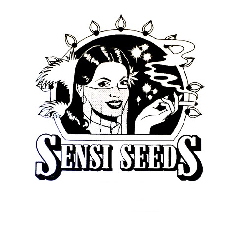 Sensi Seeds Skunk Kush