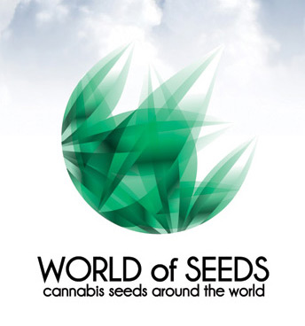 World of Seeds Chronic Haze