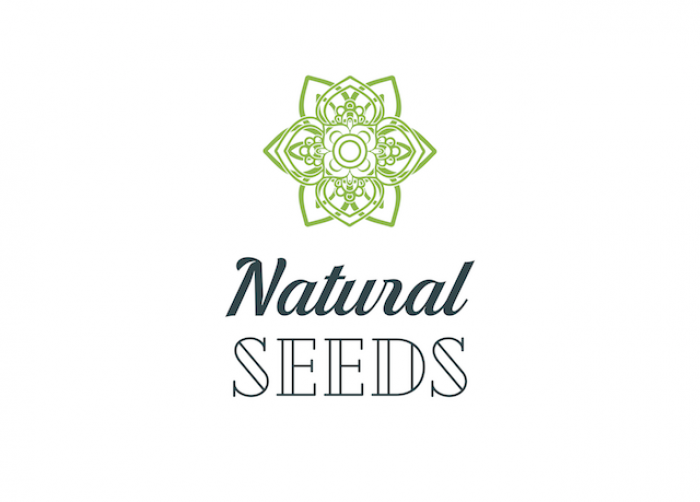 Natural Seeds Critical+ XXL