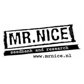 Mr. Nice Seeds Super Silver Haze 18ks regular