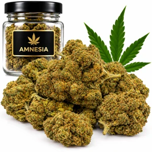 Nano11 Amnesia konopný květ 1g