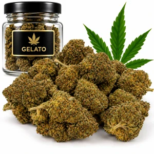 NANO11 GELATO konopný květ 1g