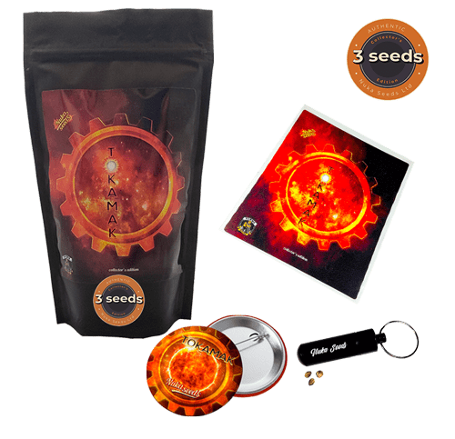 Nuka Seeds Tokamak Auto