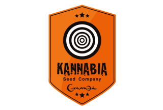 Kannabia Kickass Auto