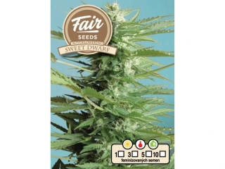 Fair Seeds Sweet Dwarf Auto