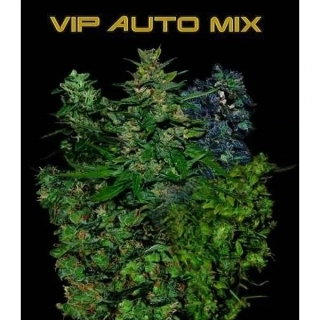 VIP seeds Auto Mix