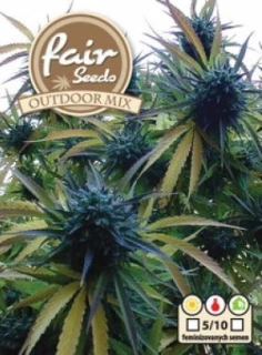 Fair Seeds Outdoor mix