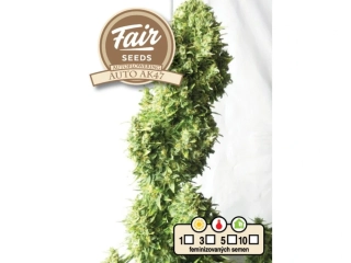 Fair Seeds AK 47 Auto