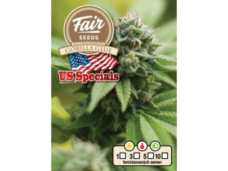 Fair Seeds Gorilla Glue Auto