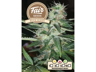 Fair Seeds Blue Hash Auto