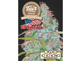 Fair Seeds California Snow Auto