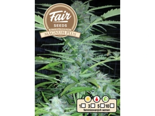 Fair Seeds Magnum Plus Auto