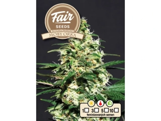 Fair Seeds Moby Orka Auto