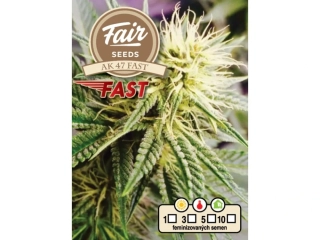 Fair Seeds AK 47 Fast Version