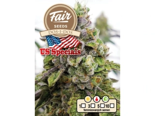 Fair Seeds Dos-i-Dos feminized