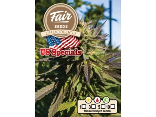 Fair Seeds Chocoloco feminized