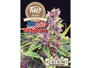 Fair Seeds Gelato feminized
