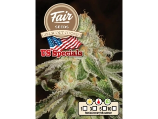 Fair Seeds Girl Scout Cookies feminized