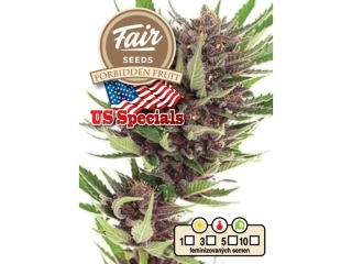 Fair Seeds Forbidden Fruit feminized