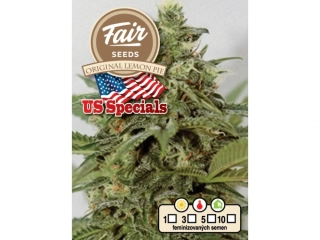 Fair Seeds Original Lemon Pie feminized
