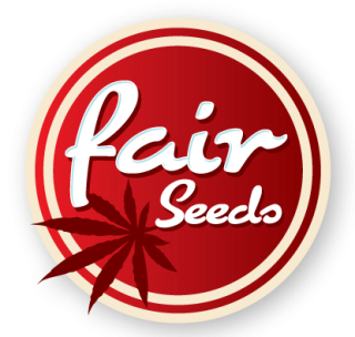 Fair Seeds Original Lemon Pie feminized