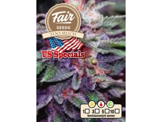 Fair Seeds Too Much feminized