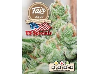 Fair Seeds Banana Strawberry feminized