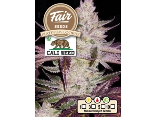 Fair Seeds Cali Weed Platinum Cookies feminized