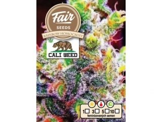 Fair Seeds Cali Weed Rainbow Homocaust feminized