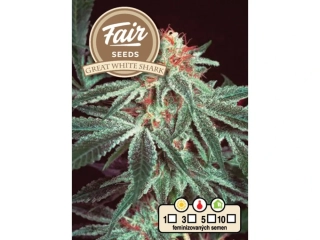 Fair Seeds Great White Shark feminized