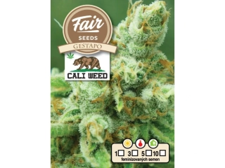 Fair Seeds Cali Weed Gestapo feminized