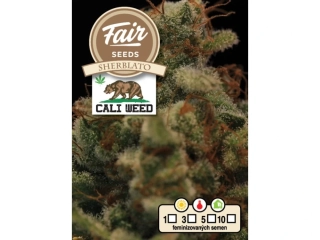 Fair Seeds Cali Weed Sherblato feminized