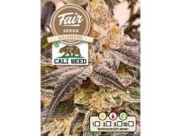 Fair Seeds Cali Weed Gushers feminized