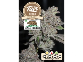 Fair Seeds Cali Weed Dolato feminized