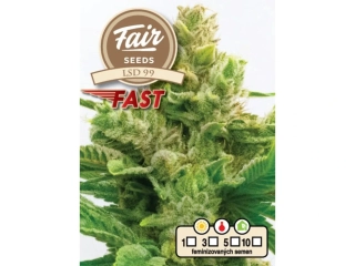 Fair Seeds LSD 99 Fast Version