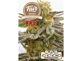 Fair Seeds Cindy Blue Fast Version
