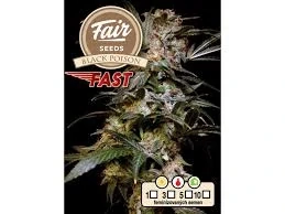 Fair Seeds Black Poison Fast Version