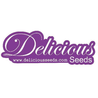 Delicious Seeds Deep Mandarine