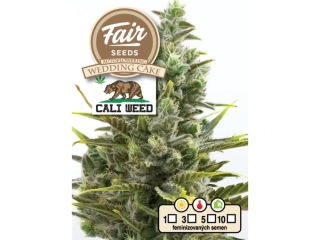 Fair Seeds Cali Weed Wedding Cake auto