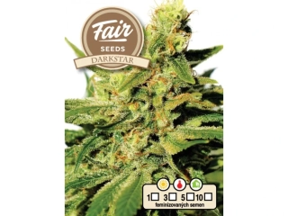 Fair Seeds Dark Star