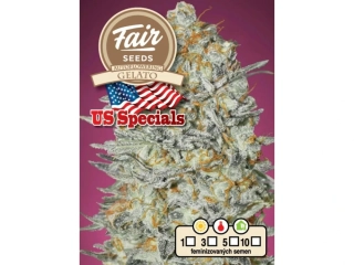 Fair Seeds Auto Gelato