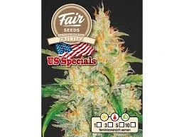 Fair Seeds Auto Zkittlez