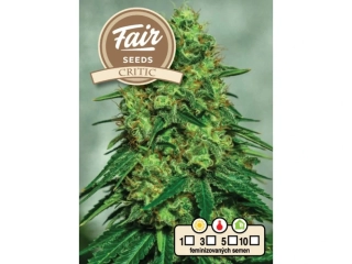 Fair Seeds Critic