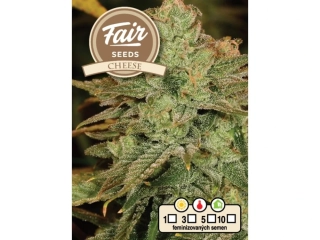 Fair Seeds Cheese