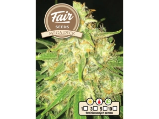 Fair Seeds MegaDick